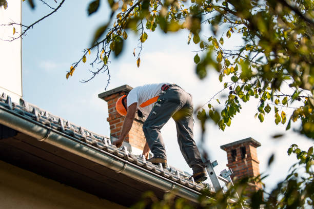 Best Roof Gutter Cleaning  in Mount Sterling, KY